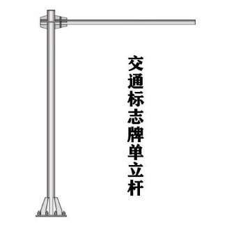 Camera-Pole Gantry Structure